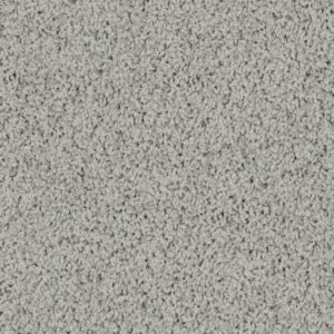 LONESTAR by Shaw Floors - Sterling