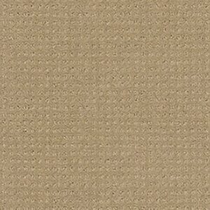 NOTTINGHAM by Shaw Floors - Sandstone