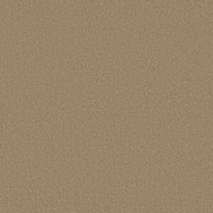 SANDY HOLLOW CLASSIC I 12' by Shaw Floors - Adobe