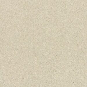 BASIC RULES by Shaw Floors - Linen