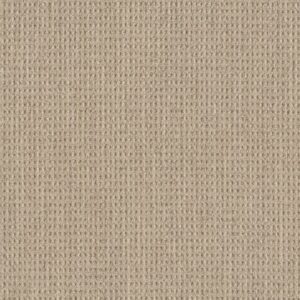 NATURAL BOUCLE 15 by Shaw Floors - Beach