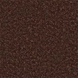 ALL STAR WEEKEND II 15' by Shaw Floors - Flower Pot