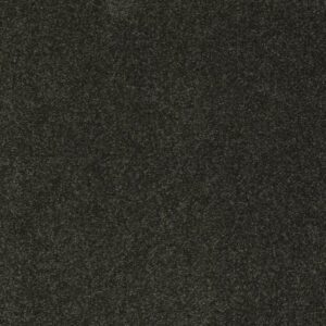 SANDY HOLLOW CLASSIC III 15' by Shaw Floors - Lilly Pad