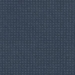 PERPETUAL MOVE by Shaw Floors - Royal Navy