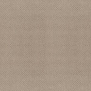 DEL VISTA by Shaw Floors - Dune