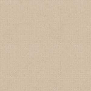 TOWN SQUARE by Shaw Floors - Ivory