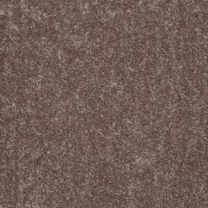 ROYAL PORTRUSH I 12' by Shaw Floors - Driftwood