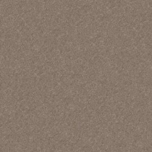 MAKE IT MINE II by Shaw Floors - Grecian Tan