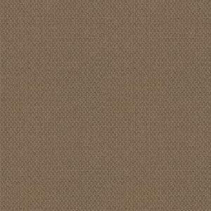 SOUTH EASTON by Shaw Floors - Egyptian Sand
