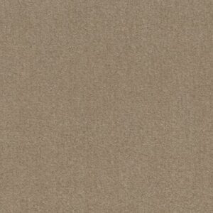 INSPIRATIONAL by Shaw Floors - Winter Milk