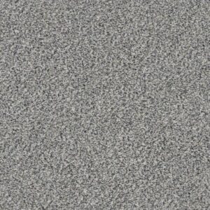 WITHIN REACH I by Shaw Floors - Serene Still