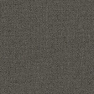 COLOR ACCENTS BL by Philadelphia Commercial - Dolphin