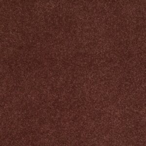 CASHMERE IV by Shaw Floors - Guanaco