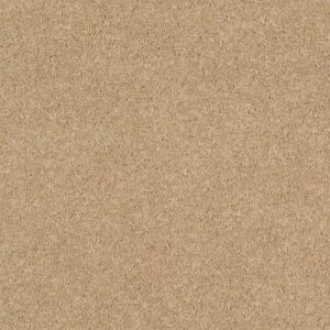 QUIET COMFORT CLASSIC I by Shaw Floors - Manilla