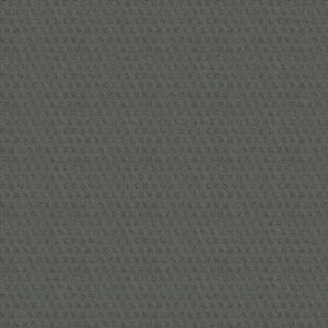 MY EXPRESSION by Shaw Floors - Wishaw