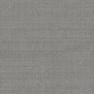 SENSIBLE NOW by Shaw Floors - Silver Springs