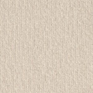 EMERGENCE by Shaw Floors - Snow Fall
