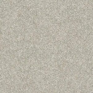 ALL OVER IT II by Shaw Floors - Oatmeal