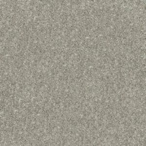 NEWBERN CLASSIC 15' by Shaw Floors - Pebble Path