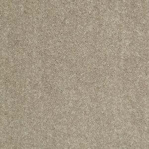 NEWBERN CLASSIC 15' by Shaw Floors - Fossil