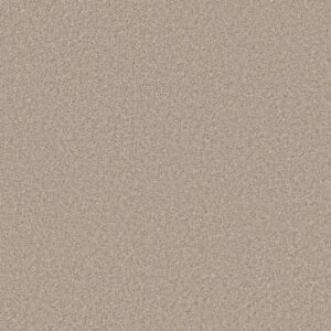 JUST A HINT II by Shaw Floors - Fog