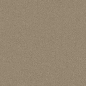 TIMELESS APPEAL I 12' by Shaw Floors - Sweet Cream