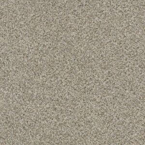 DELICATE DISTINCTION CLASSIC I by Shaw Floors - Drizzle