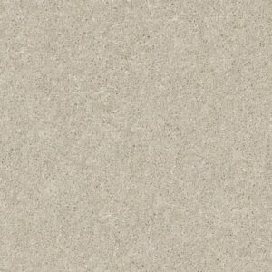 AFTER ALL I by Shaw Floors - Bird House