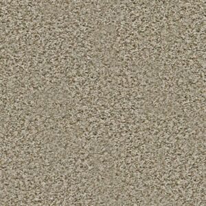 BREAK AWAY (T) by Shaw Floors - Flax