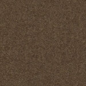 HEROIC by Shaw Floors - Toffee