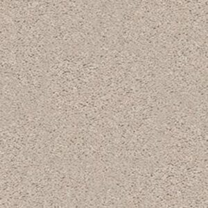 HOLLYWOOD REGENCY II 15' by Shaw Floors - Sheer Ecru