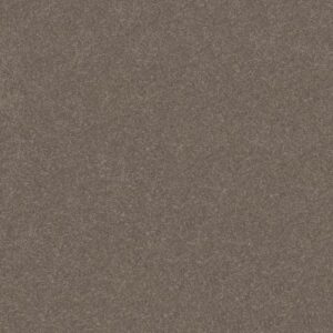 HARD AT PLAY I 12' by Shaw Floors - Cobblestone