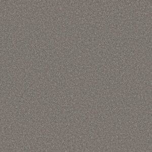 BOUNDLESS III by Shaw Floors - Flannel
