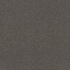 RIGHT CHOICE by Shaw Floors - Gauntlet Gray