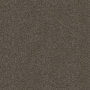 BOUNDLESS II by Shaw Floors - Gateway