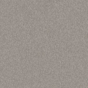 YES YOU CAN I 15' by Shaw Floors - Rock Crystal