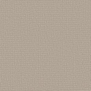 PATH HOME by Shaw Floors - Almond Silk