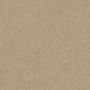 SALINA I by Shaw Floors - Chic Cream