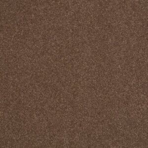 SHINGLE CREEK IV 15' by Shaw Floors - Wooden Box