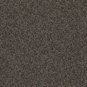 MY CHOICE II by Shaw Floors - Vintage Leather