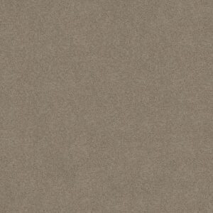 SWEET LIFE by Shaw Floors - Ashen