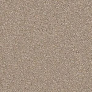 MAJORITY RULES by Shaw Floors - Havana