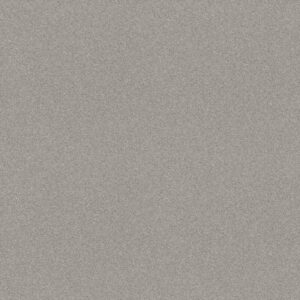 WELL PLAYED I 12' by Shaw Floors - Sheer Silver