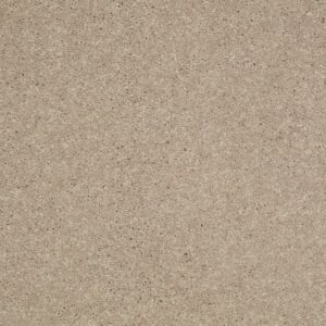 CHALLENGE ACCEPTED I 12' by Shaw Floors - Sandy Nook