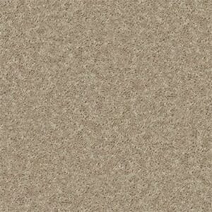 UNION CITY II 15' by Shaw Floors - Honeycomb
