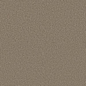 HIGH IMPACT B by Shaw Floors - Escape