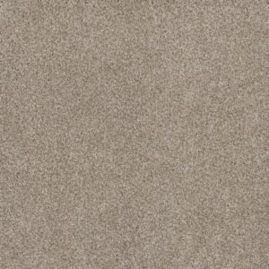 STUNNING by Dreamweaver - Seashells 758