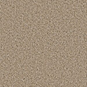 COSMOPOLITAN by Dreamweaver - Straw 551