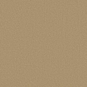 TONAL COMFORT I by Shaw Floors - Hello Sunshine