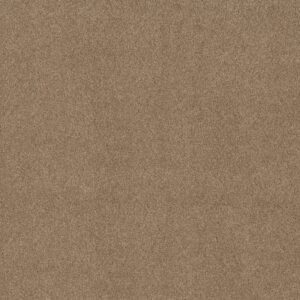 TONAL COMFORT I by Shaw Floors - Falling Leaves